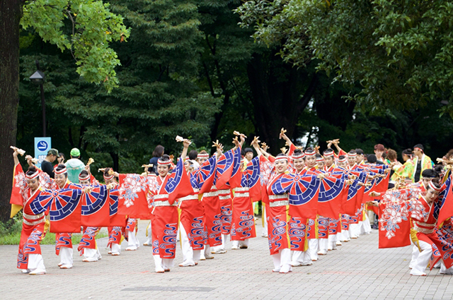 よさこい「舞華」